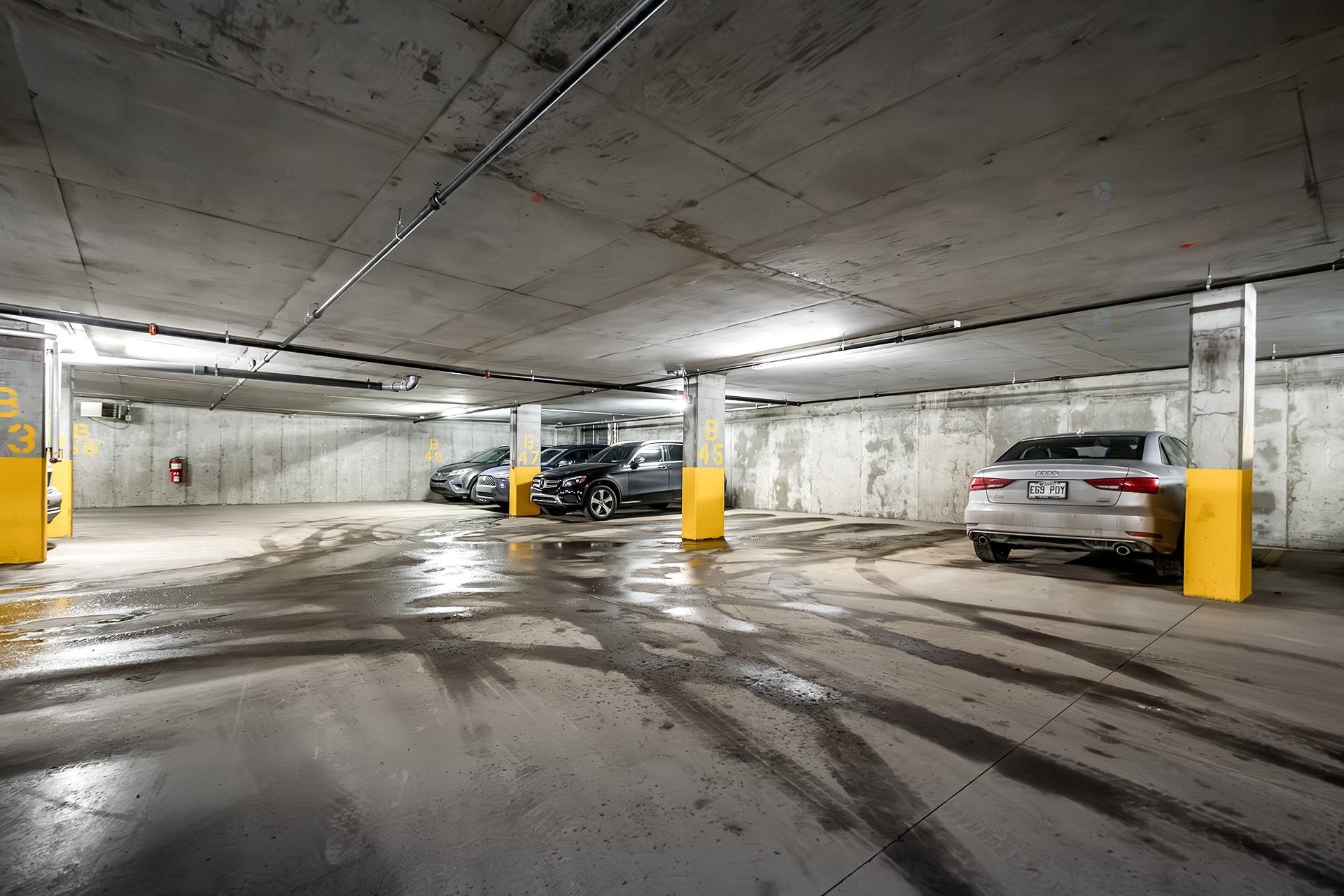 









905


Av. Plymouth

, 312,
Mont-Royal,




QC
H4P1B2

