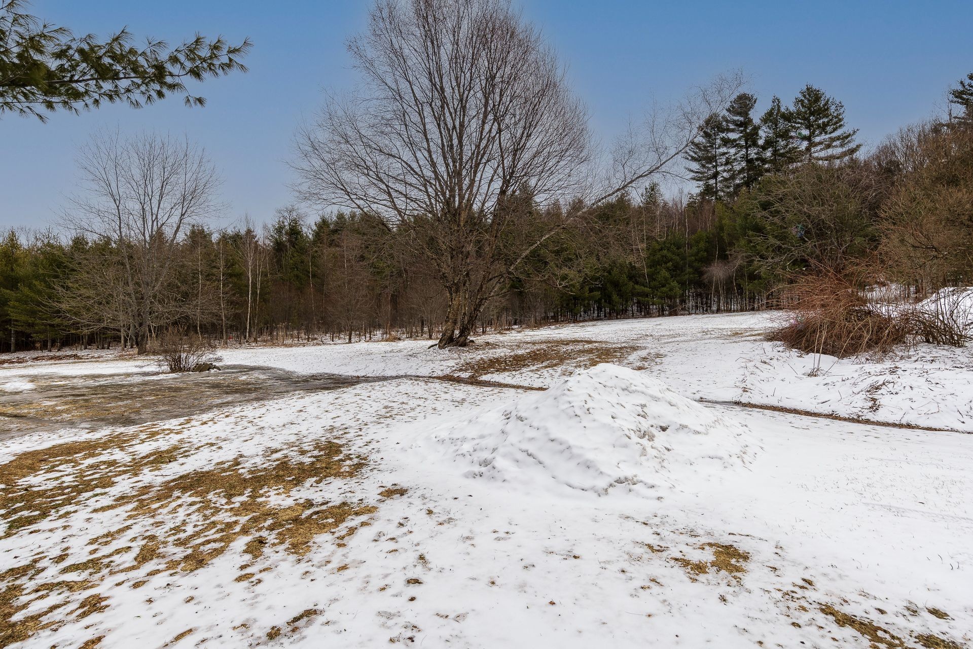 









65


Ch. Moffat

,
Lac-Brome,




QC
J0E1V0

