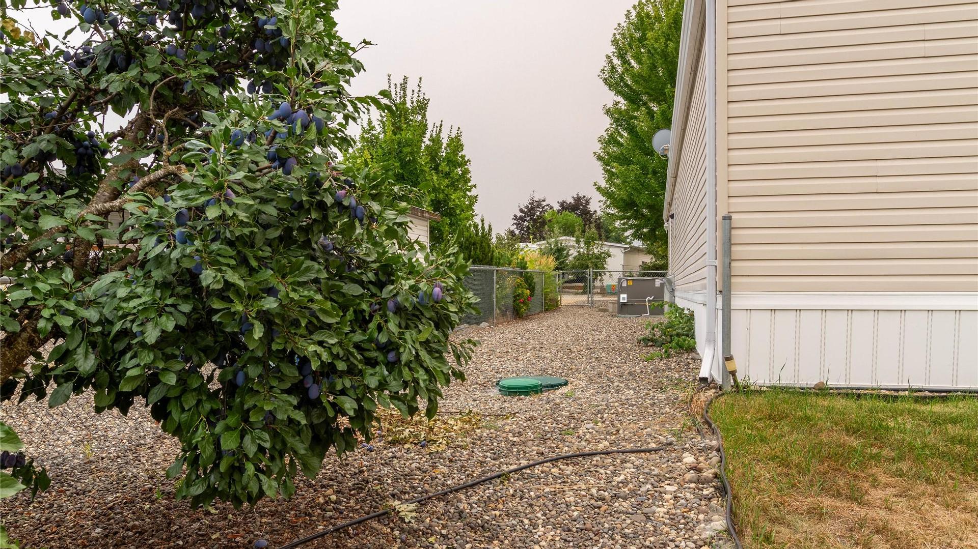 









9510


97N

Highway, 107,
Vernon,




BC
V1H 1R8

