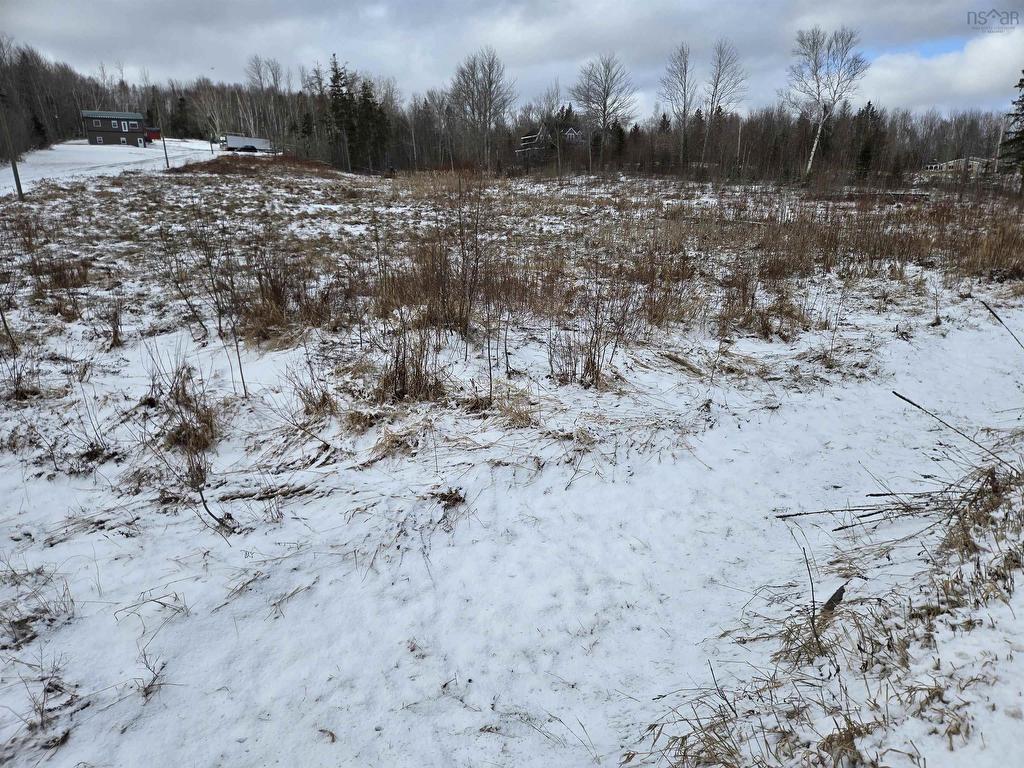 












vacant land - River John

,
Scotch Hill,







NS
B0K 1R0

