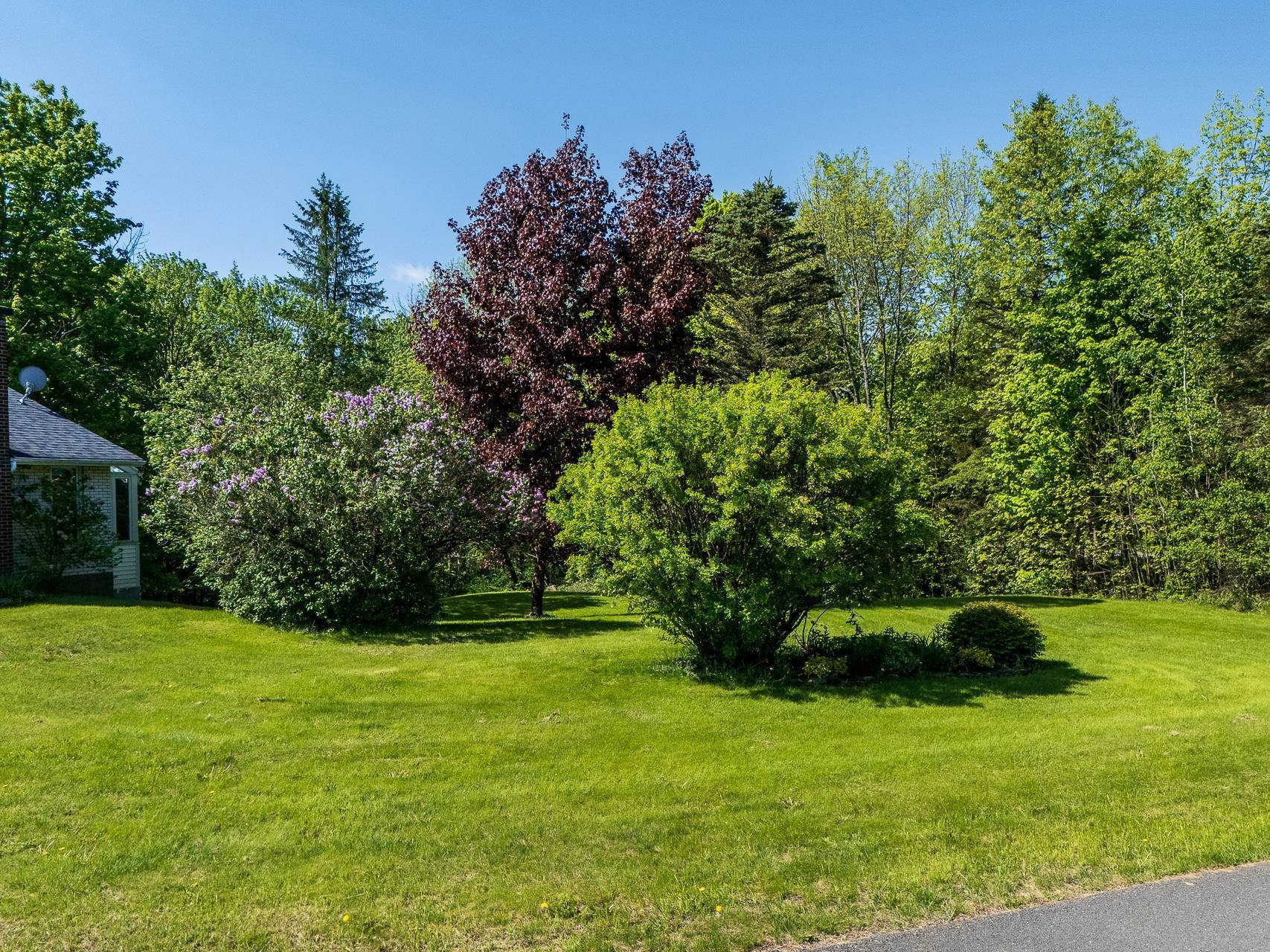









24


Ch. Frizzle

,
Lac-Brome,




QC
J0E1V0

