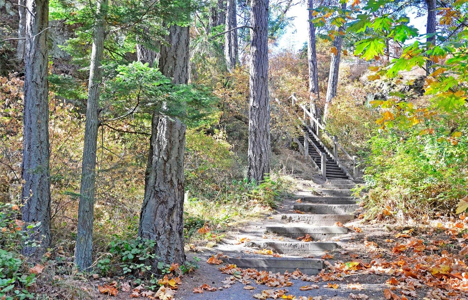 









3334


Acemink

Rd,
Colwood,




BC
V9C 2J6

