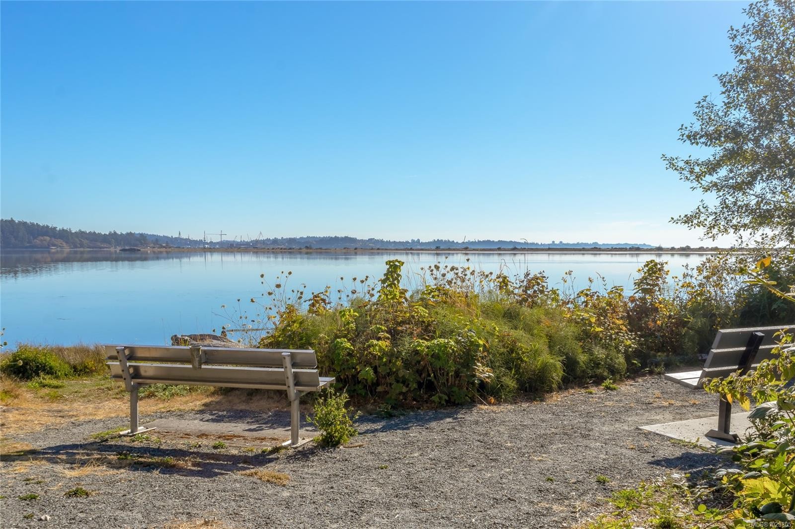 









3334


Acemink

Rd,
Colwood,




BC
V9C 2J6

