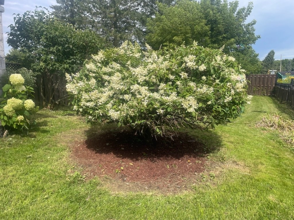 









5901


1er rang Ste-Cécile

,
Saint-Félix-de-Valois,




QC
J0K2M0

