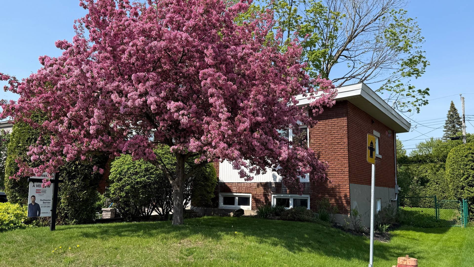 









562


Rue Miles

,
Longueuil (Greenfield Park),




QC
J4V1S6

