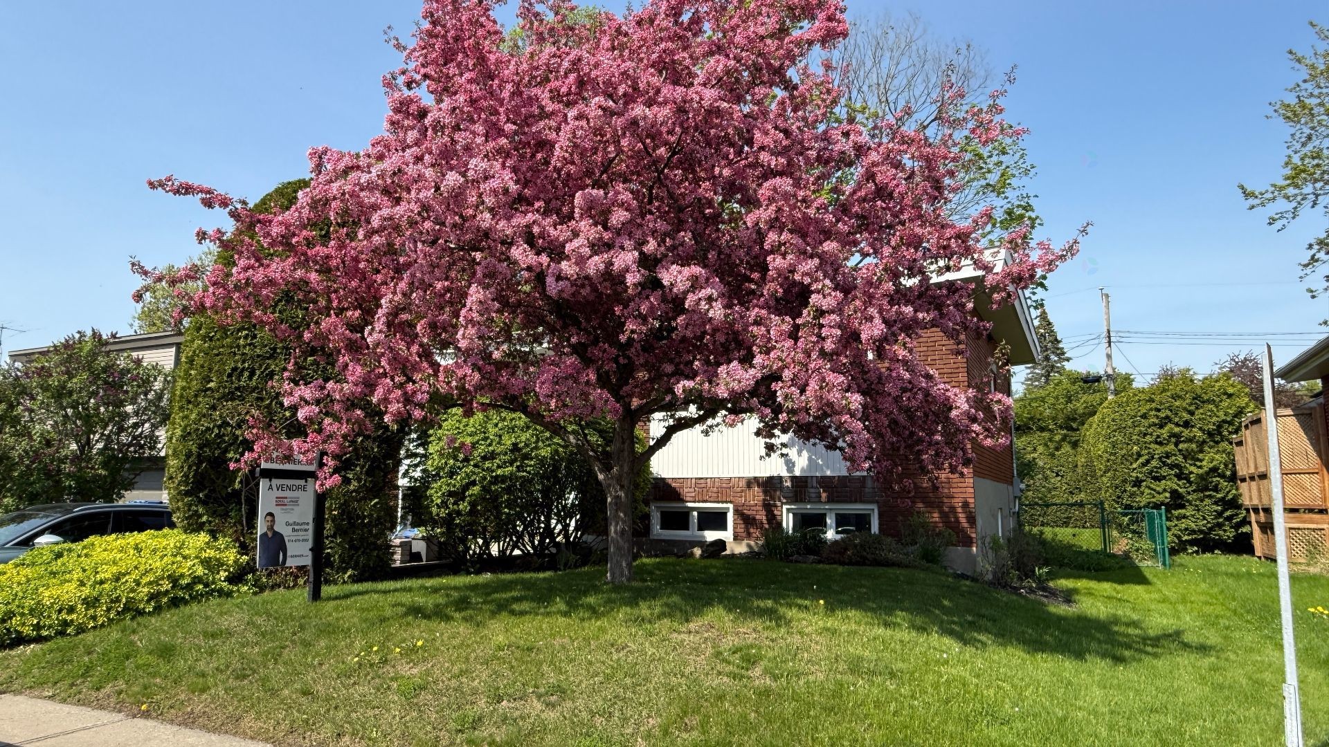 









562


Rue Miles

,
Longueuil (Greenfield Park),




QC
J4V1S6


