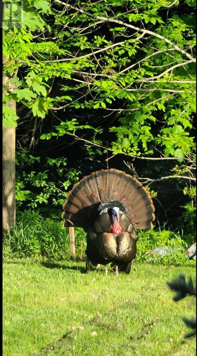 












50 PANORAMA CRESCENT

,
Vaughan,




Ontario
L4H1J9

