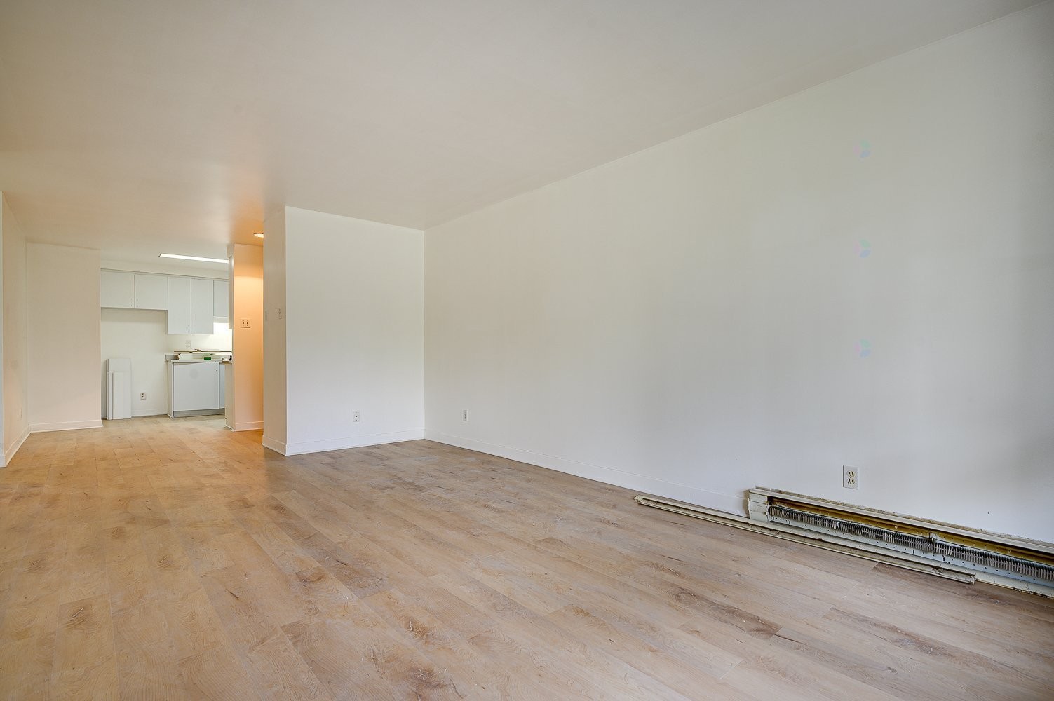 









305


Rue Laviolette

, 310,
Saint-Jérôme,




QC
J7Y4H7

