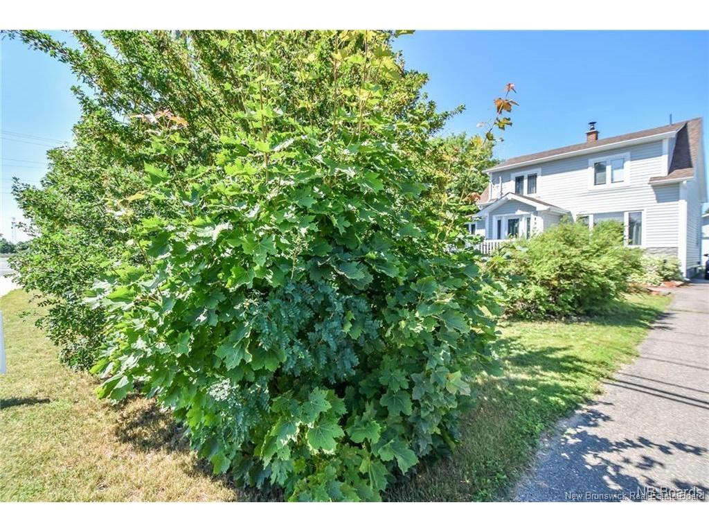 









497


rue de l'Eglise

,
Tracadie,




NB
E1X 1B1

