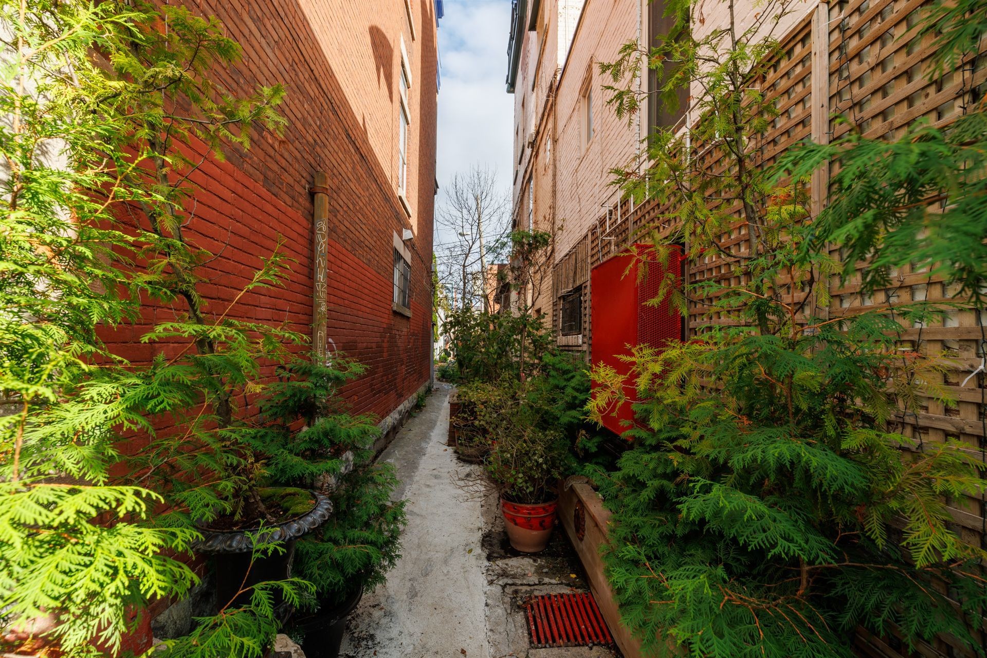 









3636


Av. Henri-Julien

, 10,
Montréal (Le Plateau-Mont-Royal),




QC
H2X3H5

