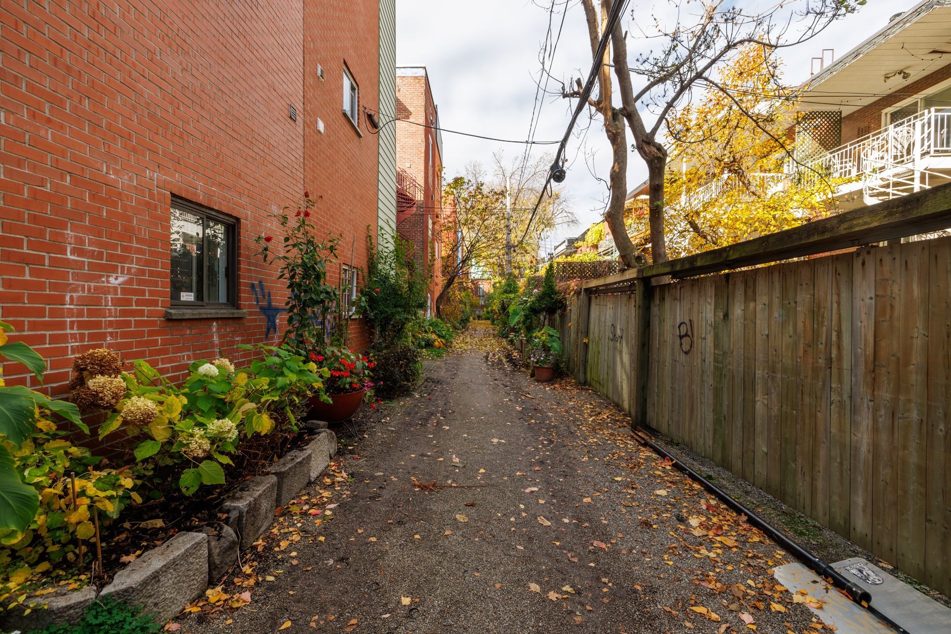 









3636


Av. Henri-Julien

, 10,
Montréal (Le Plateau-Mont-Royal),




QC
H2X3H5

