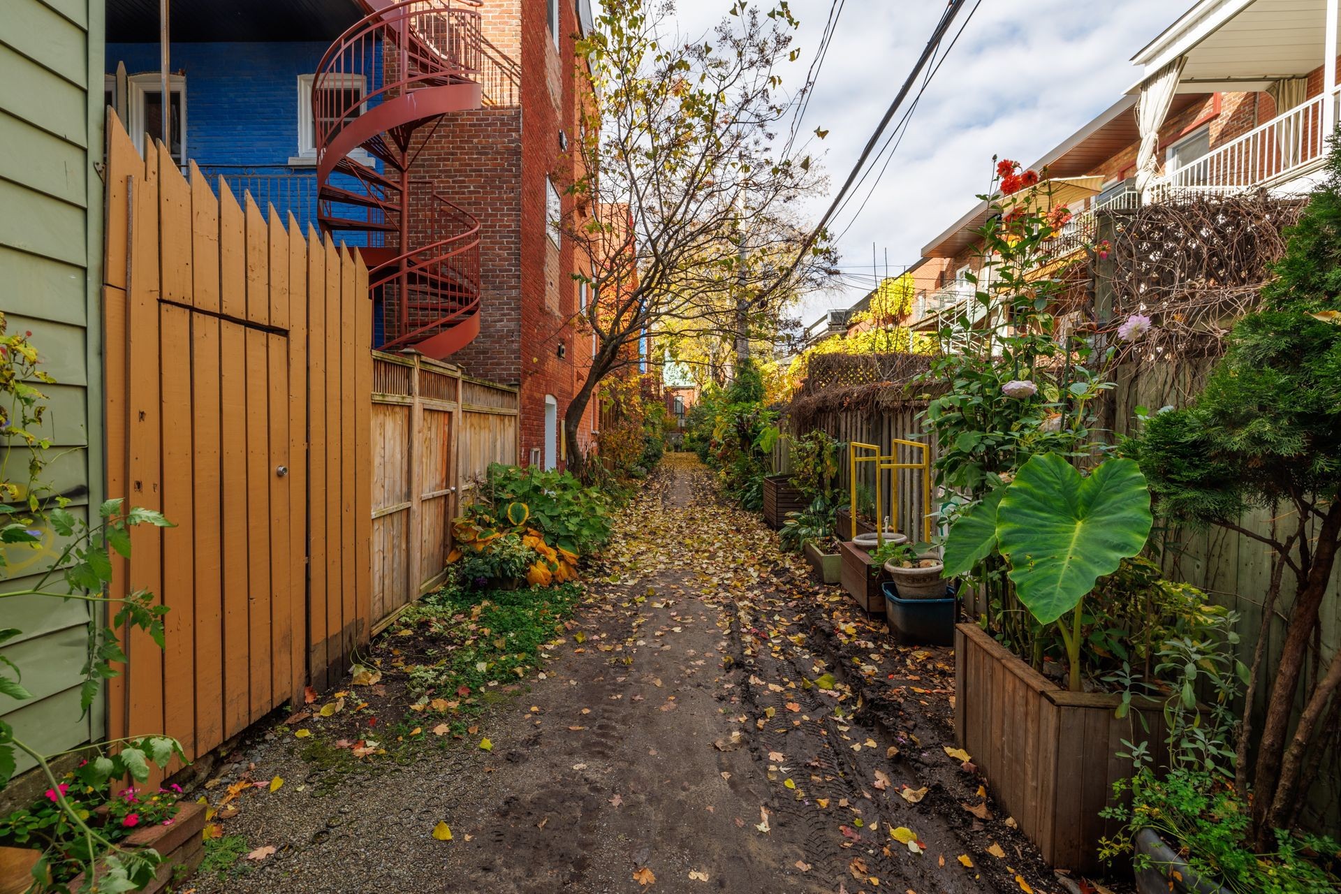 









3636


Av. Henri-Julien

, 10,
Montréal (Le Plateau-Mont-Royal),




QC
H2X3H5

