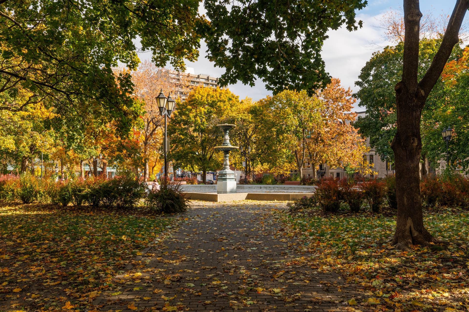 









3636


Av. Henri-Julien

, 10,
Montréal (Le Plateau-Mont-Royal),




QC
H2X3H5

