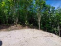Terre/Terrain