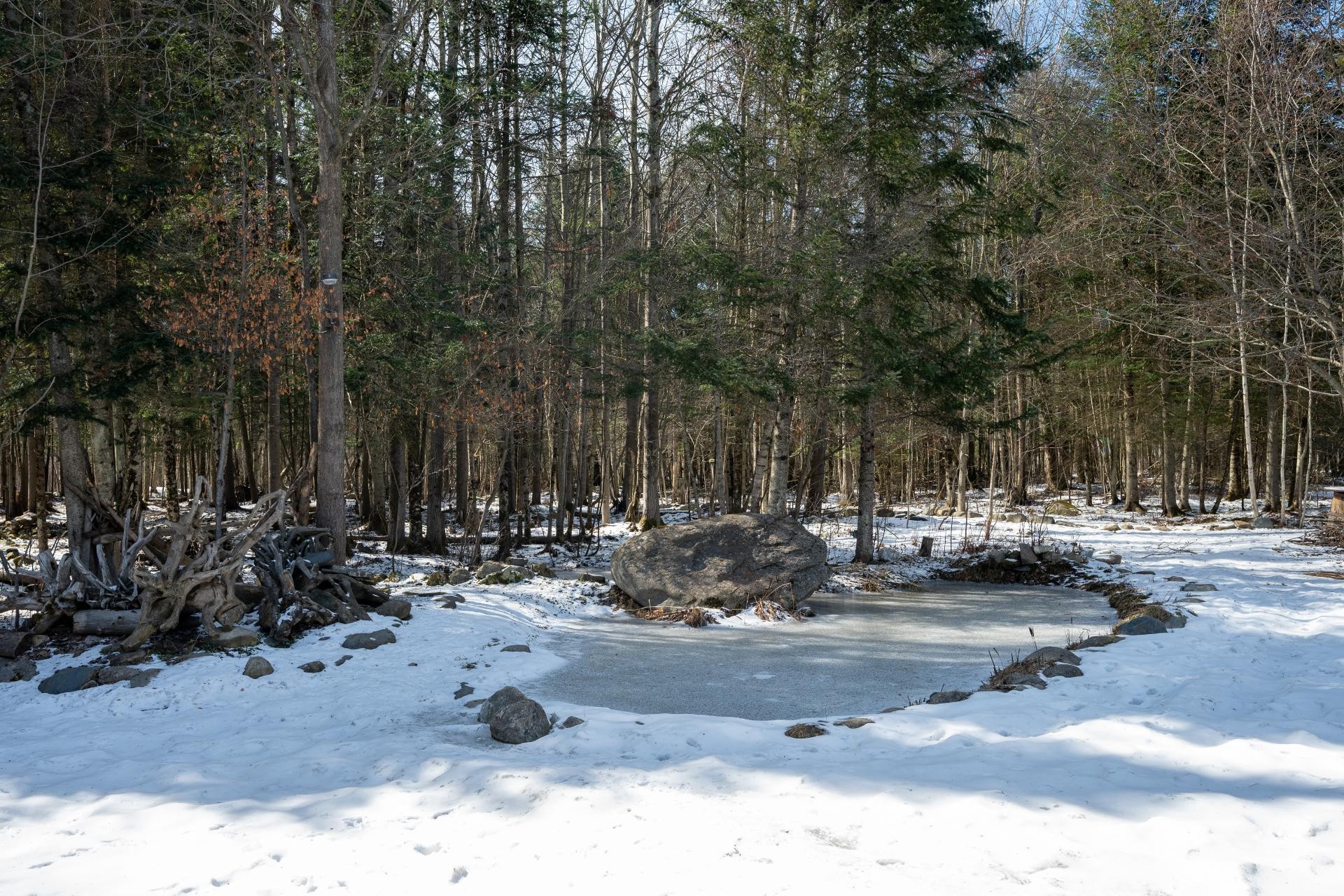 









530


Rue Arthur-Dupuis

,
Sherbrooke (Brompton/Rock Forest/Saint-Élie/Deauville),




QC
J1C0E2

