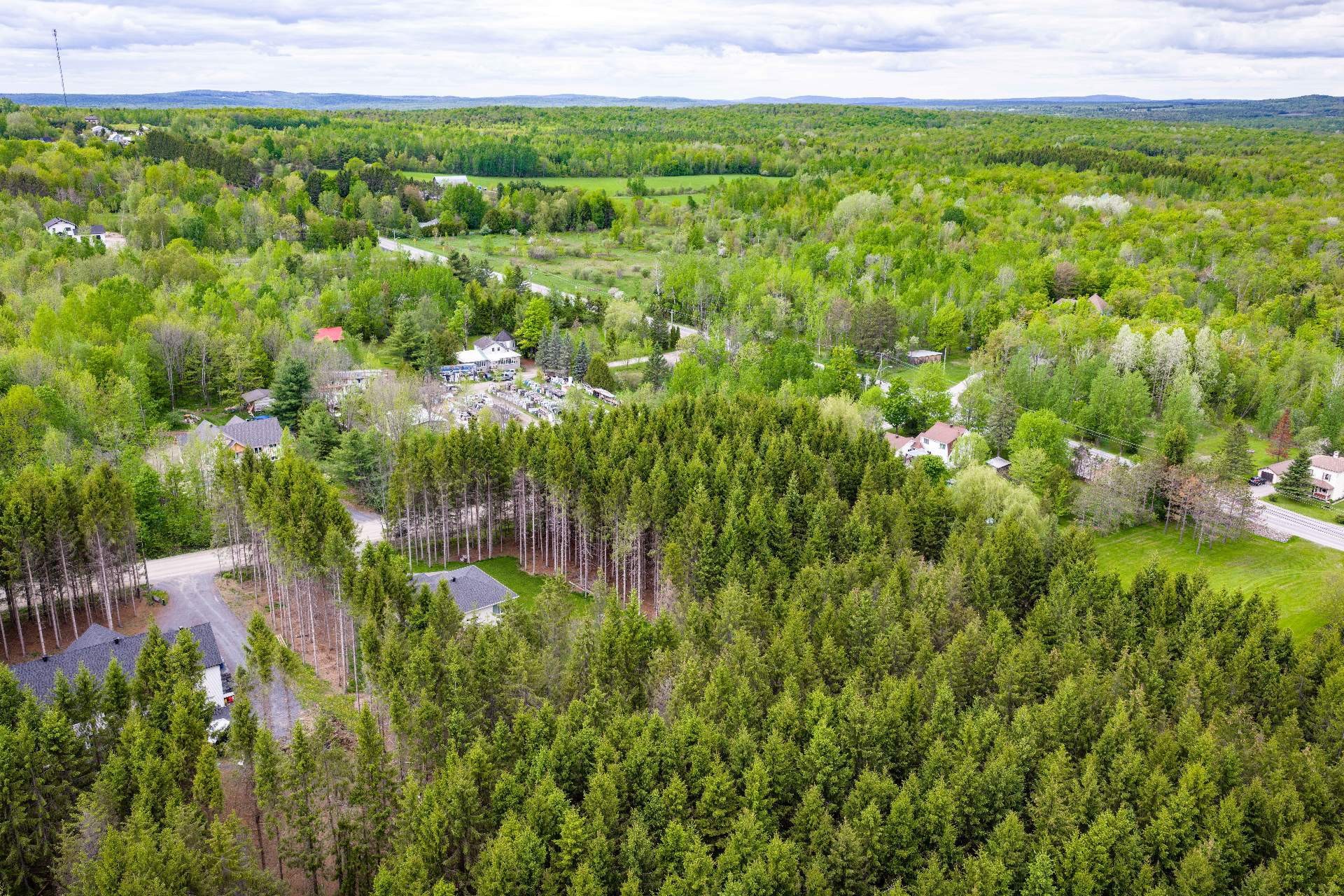 









2361


Ch. Deschesne 

,
Saint-Denis-de-Brompton,




QC
J0B2P0

