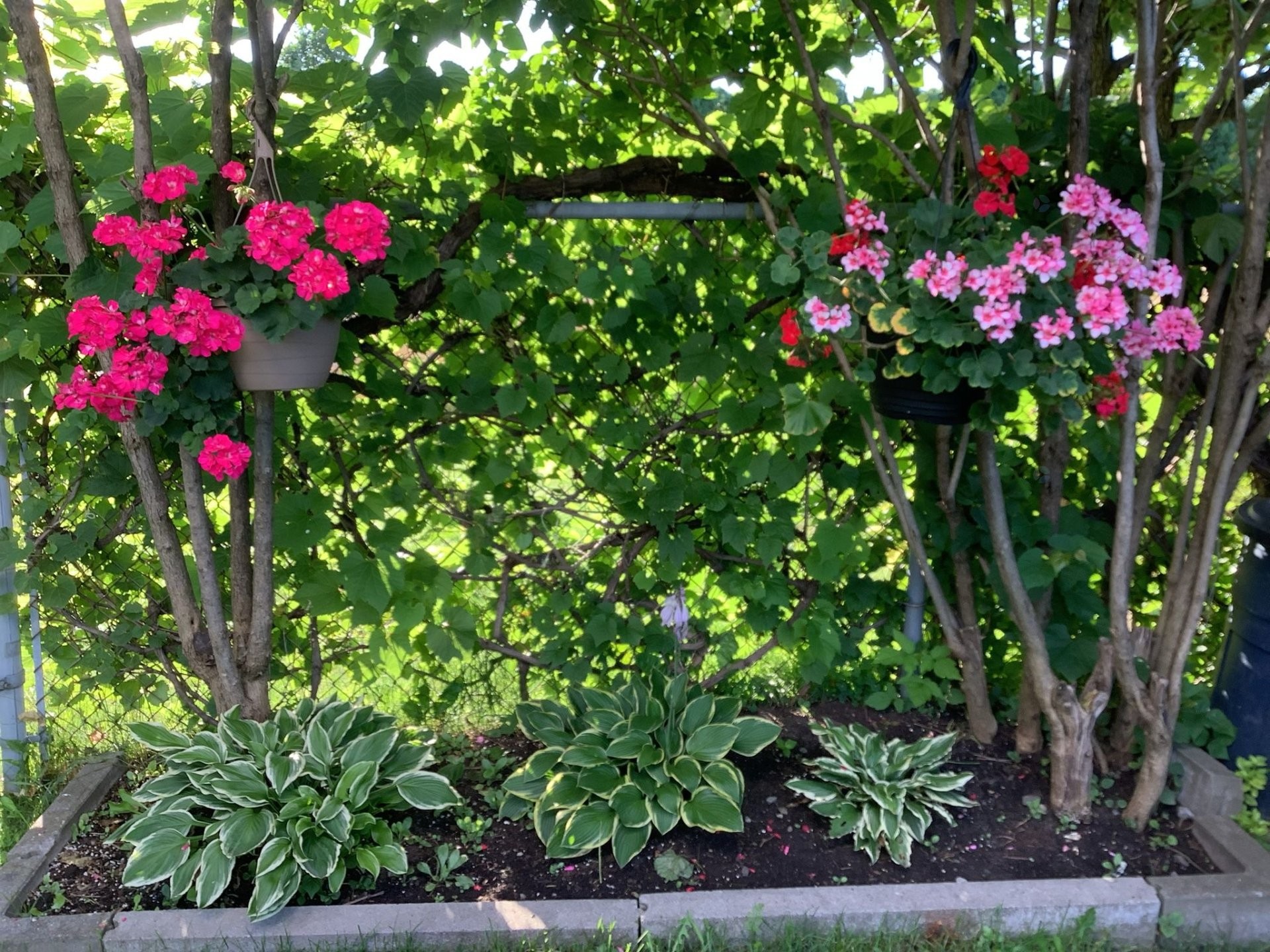 









11374


Rue Poincaré

,
Montréal (Ahuntsic-Cartierville),




QC
H3L3L7

