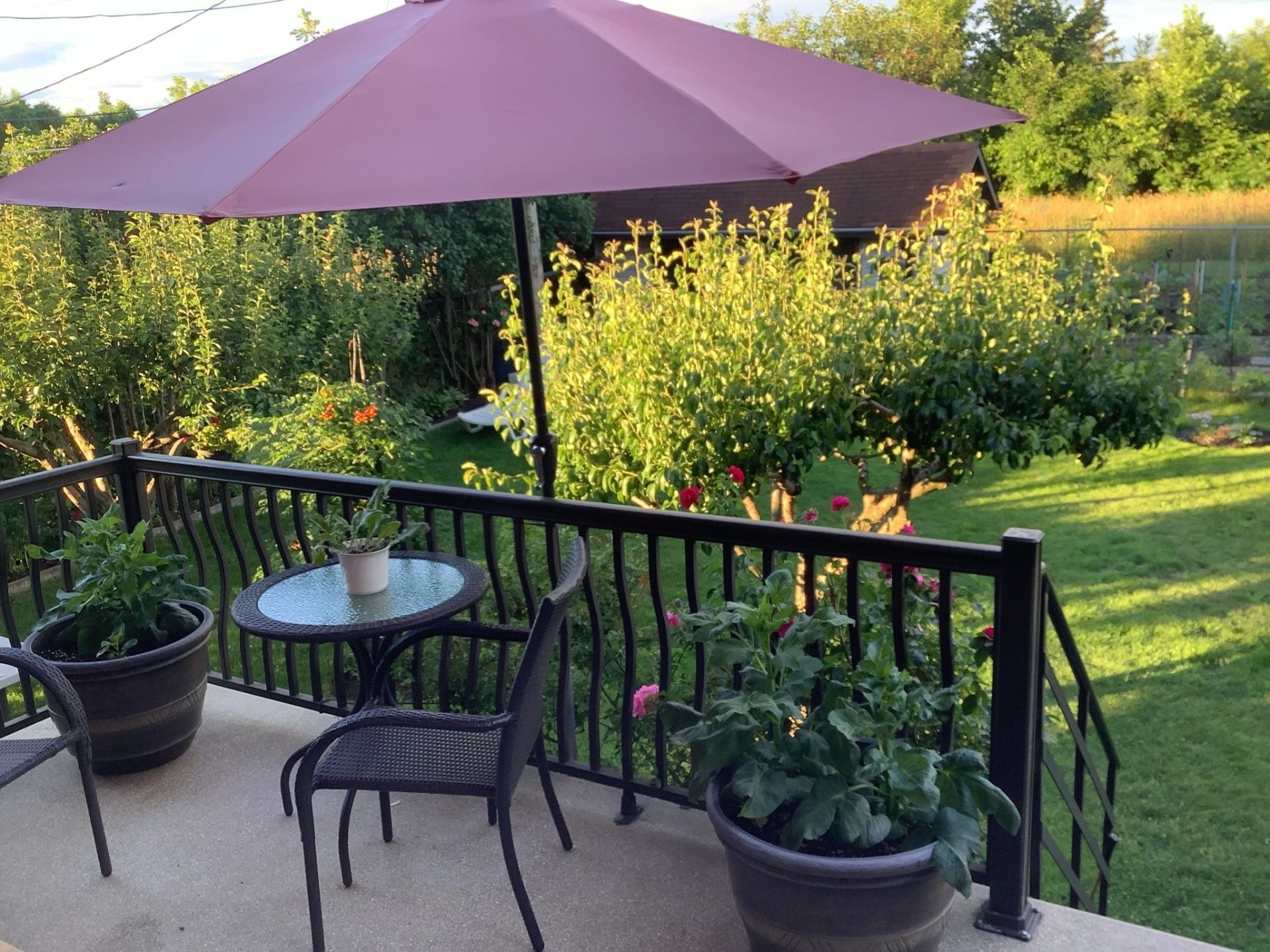 









11374


Rue Poincaré

,
Montréal (Ahuntsic-Cartierville),




QC
H3L3L7

