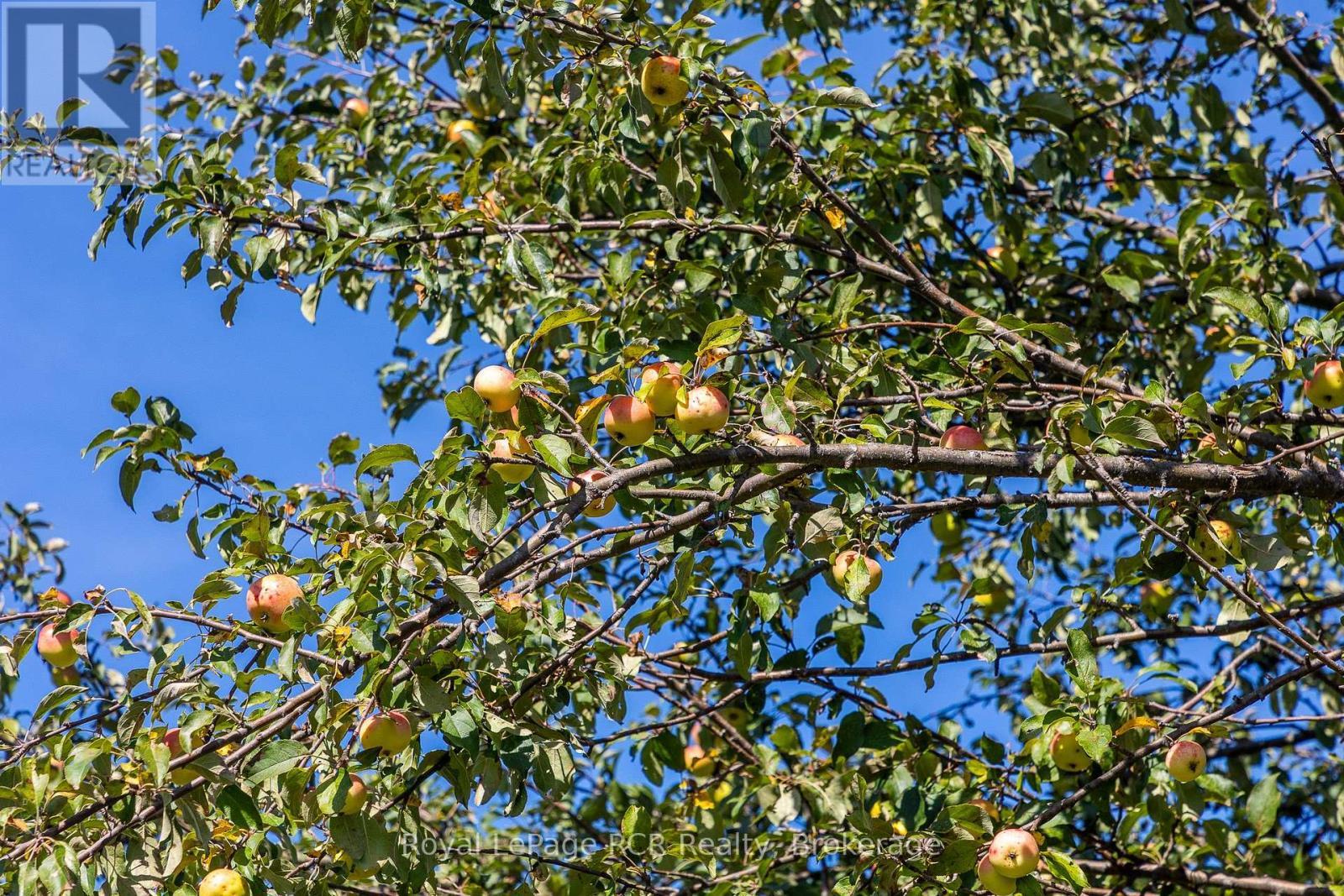 












1037 PURPLE VALLEY ROAD

,
South Bruce Peninsula,




Ontario
N0H1W0

