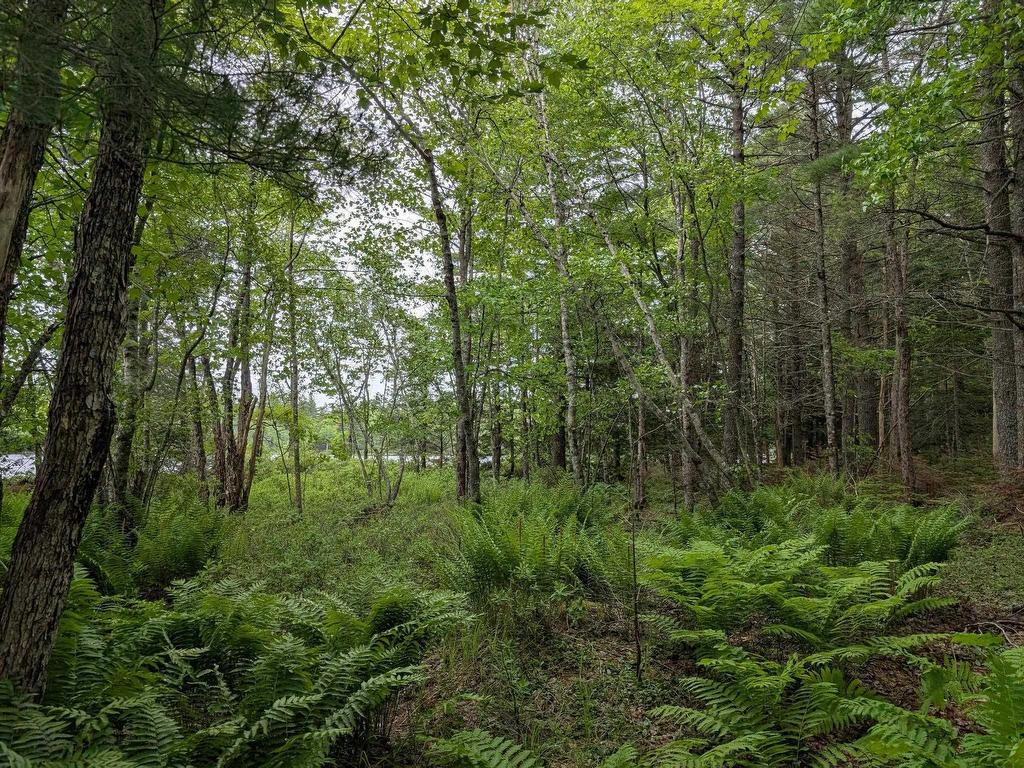 












67 Station Road

,
Kinsac,







NS
B4G 1C8

