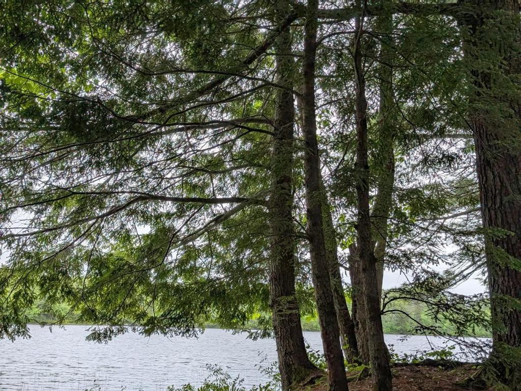 












67 Station Road

,
Kinsac,







NS
B4G 1C8

