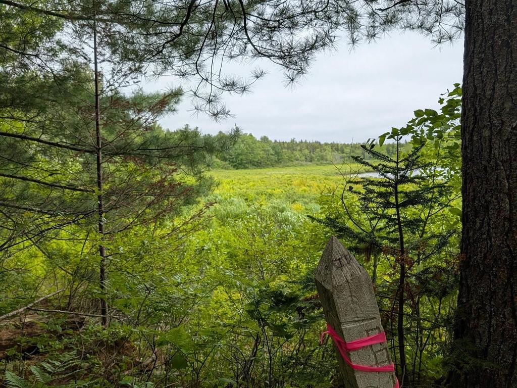 












67 Station Road

,
Kinsac,







NS
B4G 1C8

