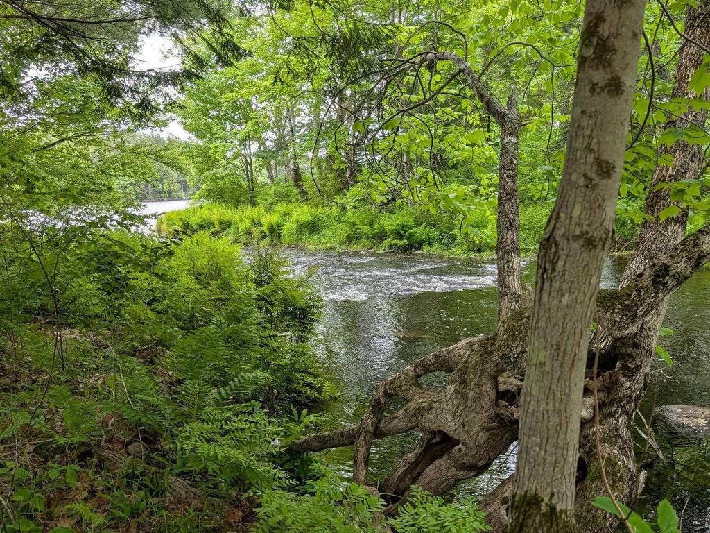 












67 Station Road

,
Kinsac,







NS
B4G 1C8

