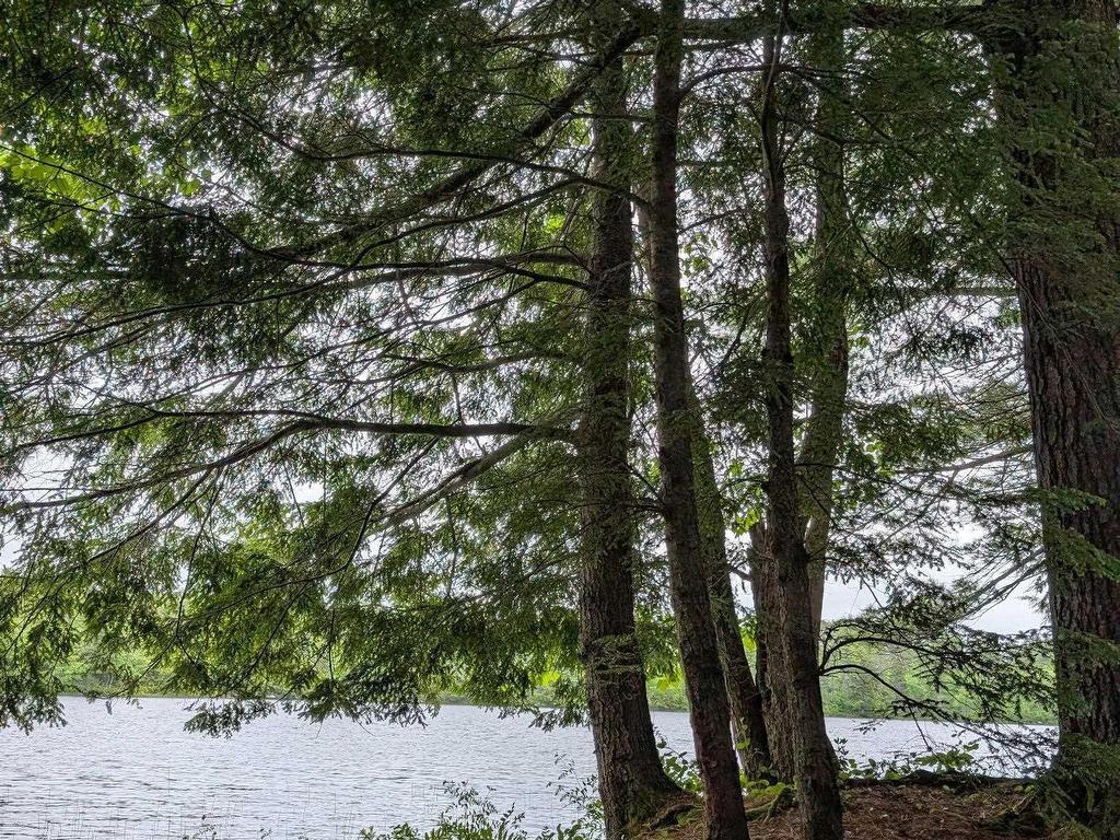 












67 Station Road

,
Kinsac,







NS
B4G 1C8

