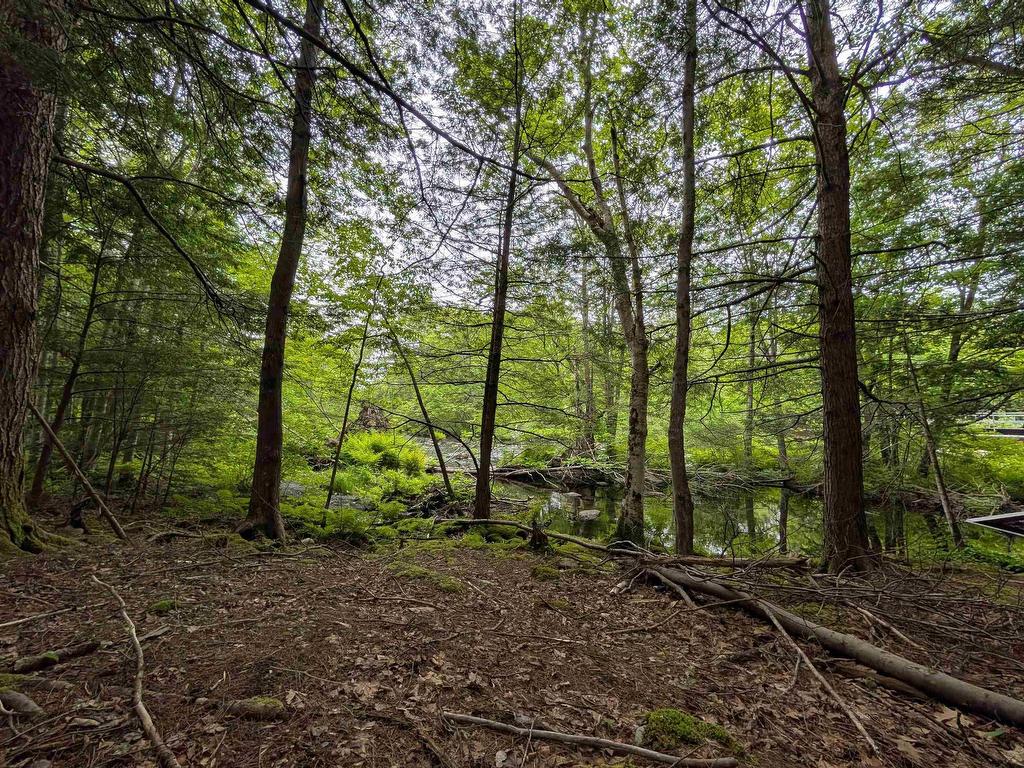 












67 Station Road

,
Kinsac,







NS
B4G 1C8

