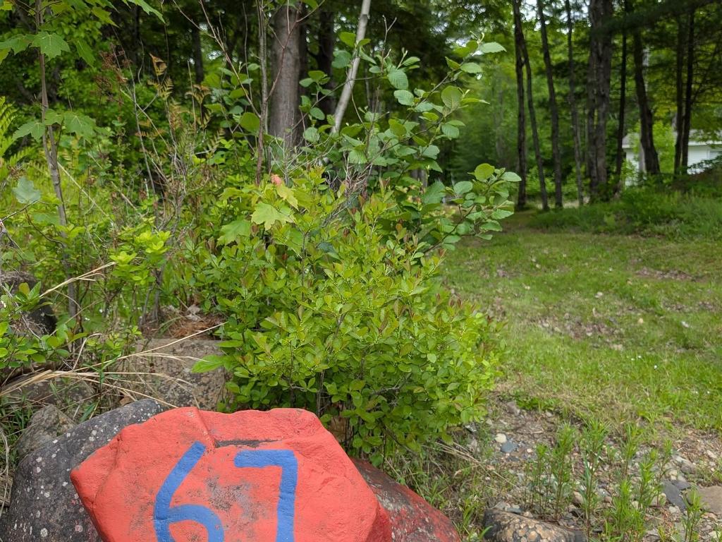 












67 Station Road

,
Kinsac,







NS
B4G 1C8

