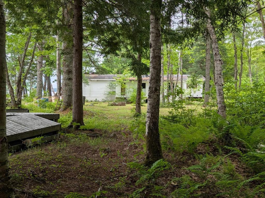 












67 Station Road

,
Kinsac,







NS
B4G 1C8

