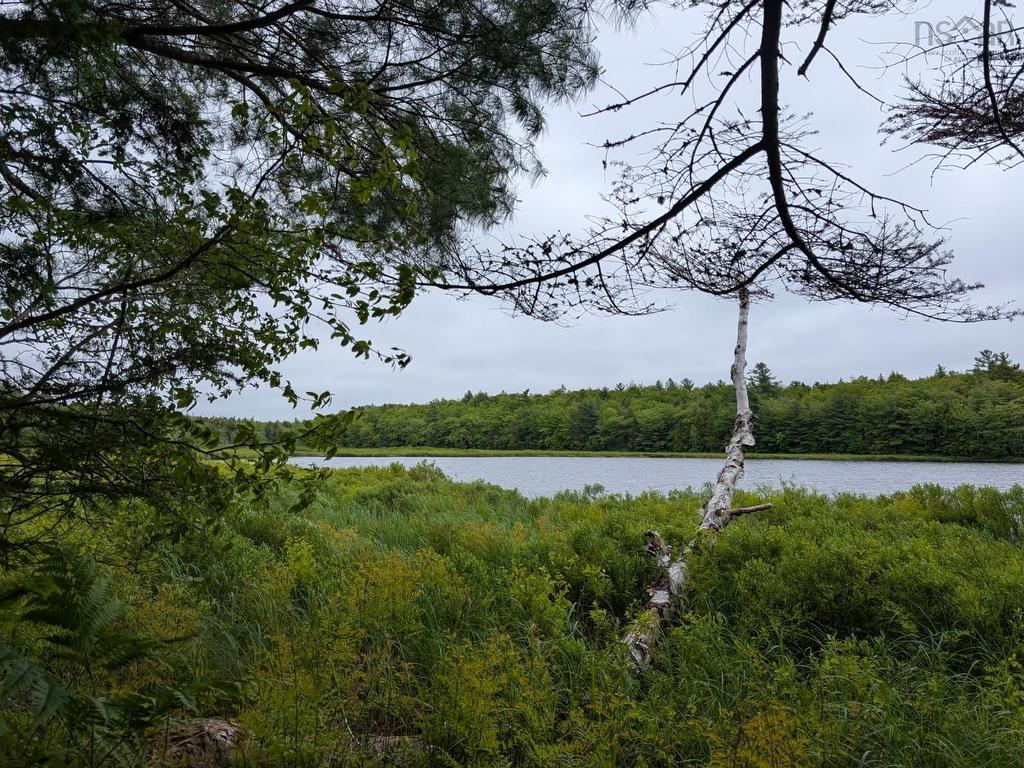 












67 Station Road

,
Kinsac,







NS
B4G 1C8

