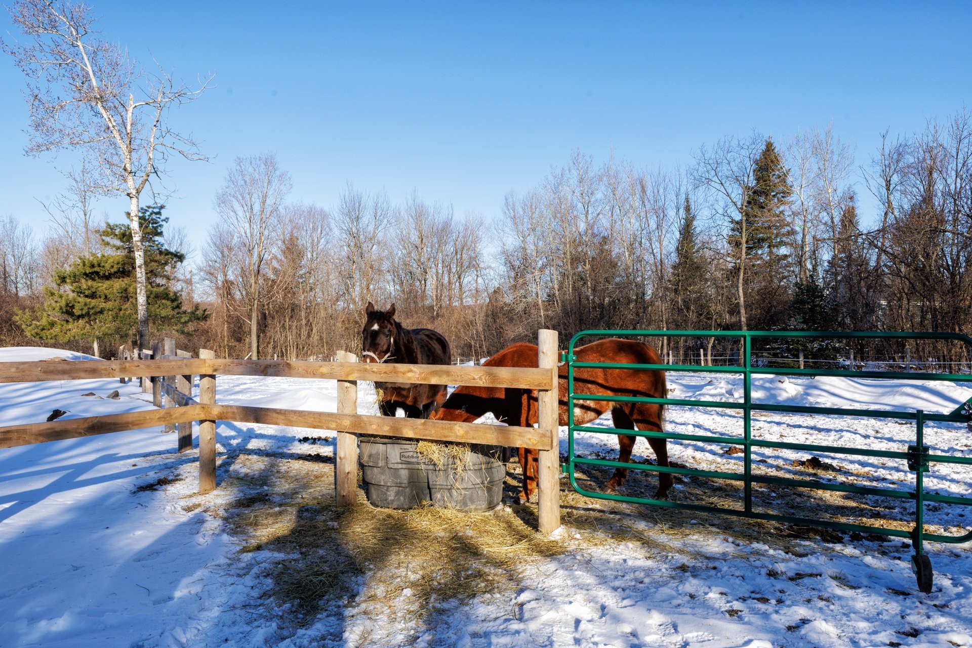 









306


Rue Ganivet

,
Rigaud,




QC
J0P1P0

