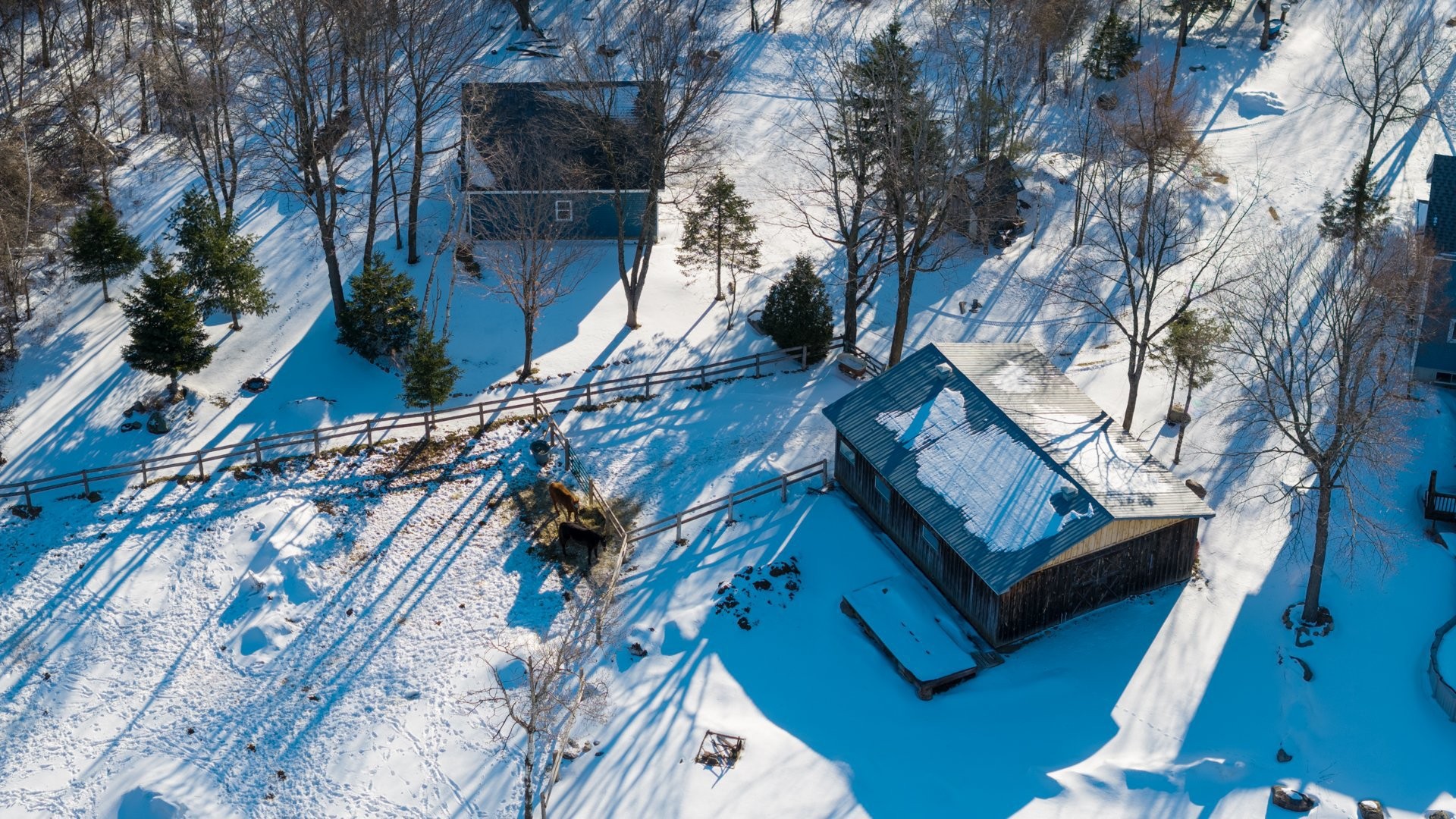 









306


Rue Ganivet

,
Rigaud,




QC
J0P1P0

