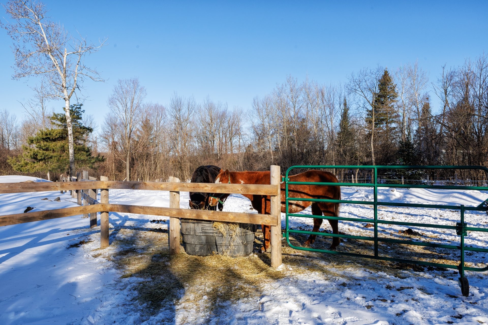 









306


Rue Ganivet

,
Rigaud,




QC
J0P1P0

