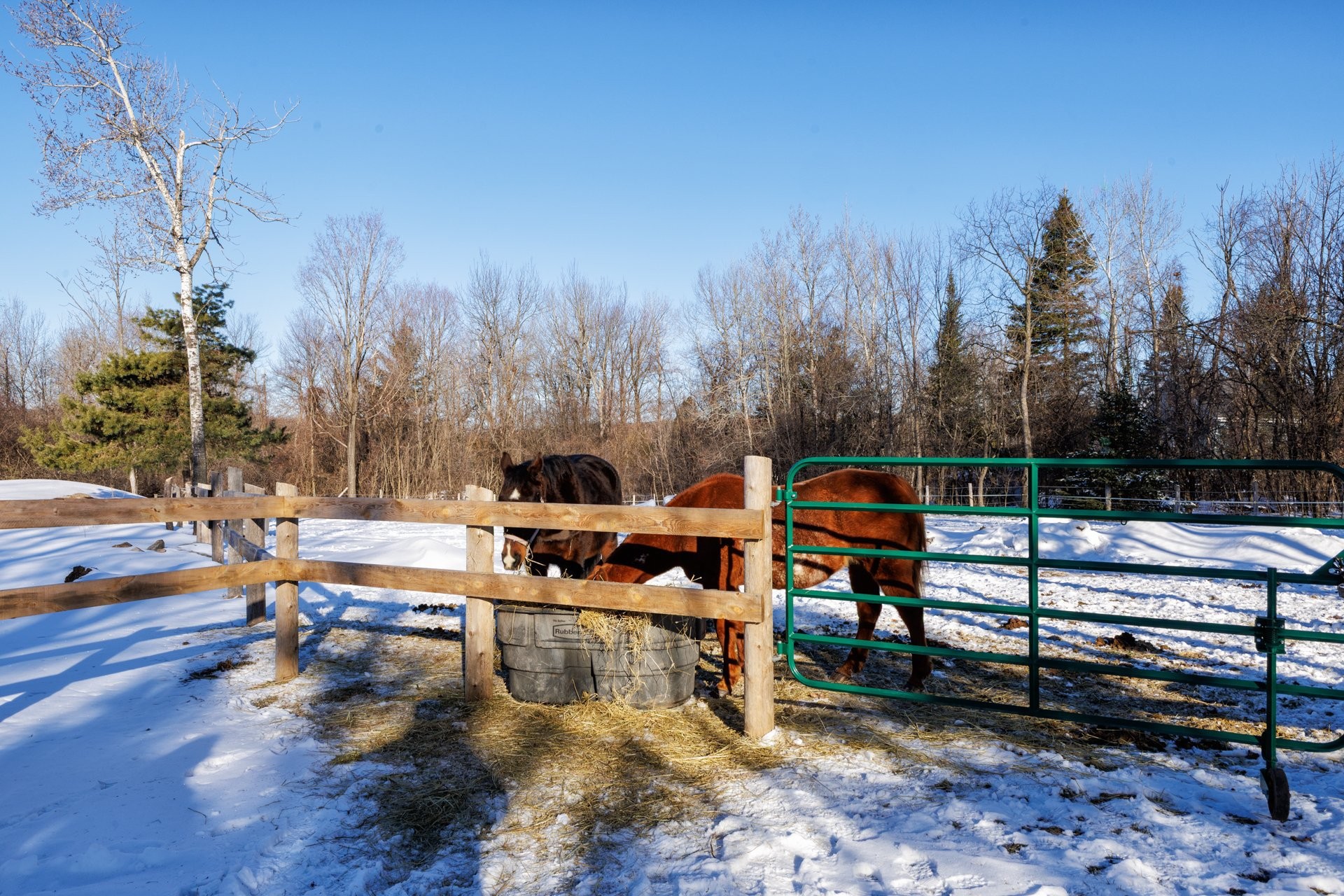 









306


Rue Ganivet

,
Rigaud,




QC
J0P1P0

