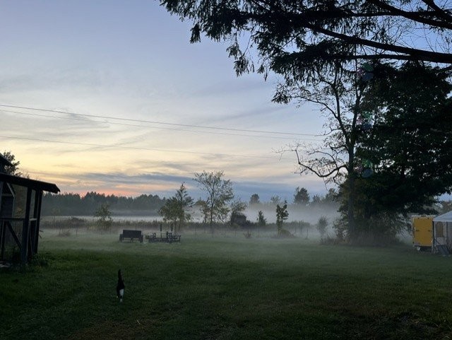 









203


Route 221 S.

,
Lacolle,




QC
J0J1J0

