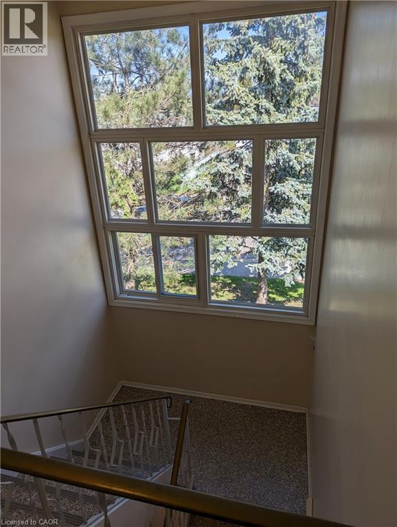 












351 HOFFMAN Street

,
Kitchener,




Ontario
N2M3N5

