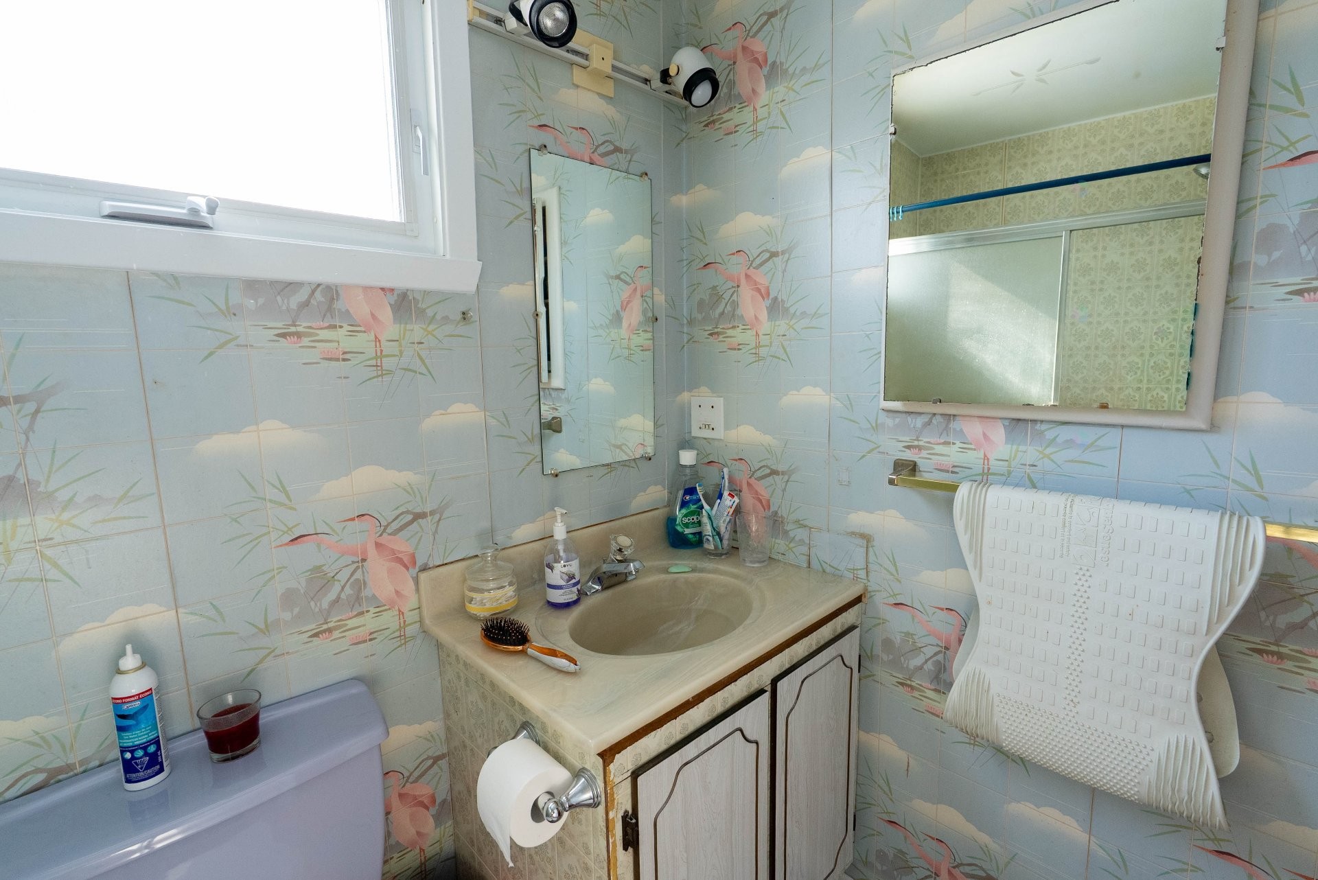 









3876


Rue Nicole

,
Laval (Fabreville),




QC
H7P1L1

