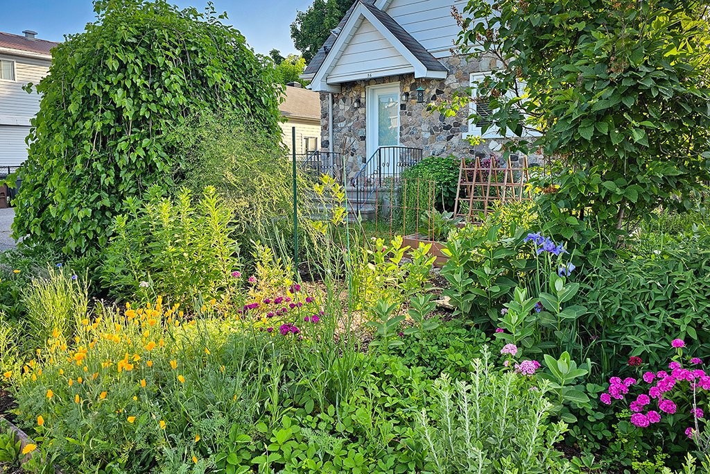 









56


Ch. Vanier

,
Gatineau (Aylmer),




QC
J9H1X6

