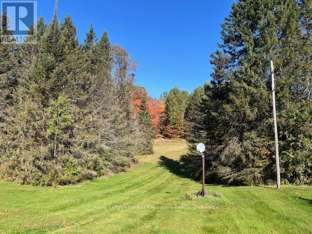 












96 520 HIGHWAY W

,
Burk's Falls,




Ontario
P0C1A0

