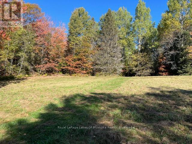 












96 520 HIGHWAY W

,
Burk's Falls,




Ontario
P0C1A0

