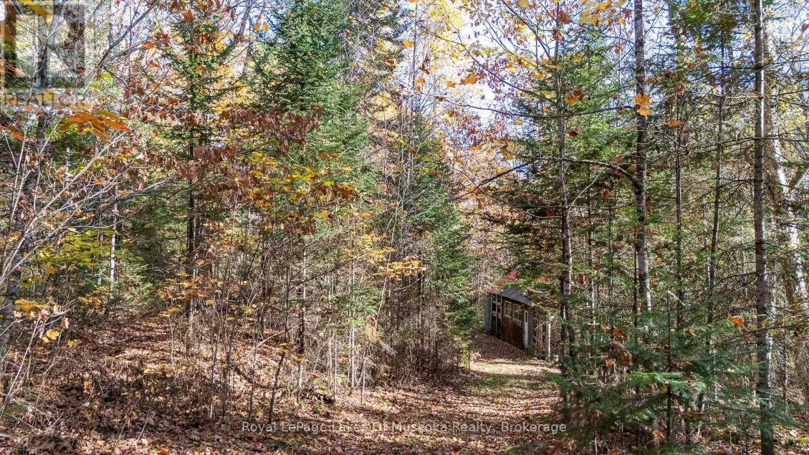 












96 520 HIGHWAY W

,
Burk's Falls,




Ontario
P0C1A0

