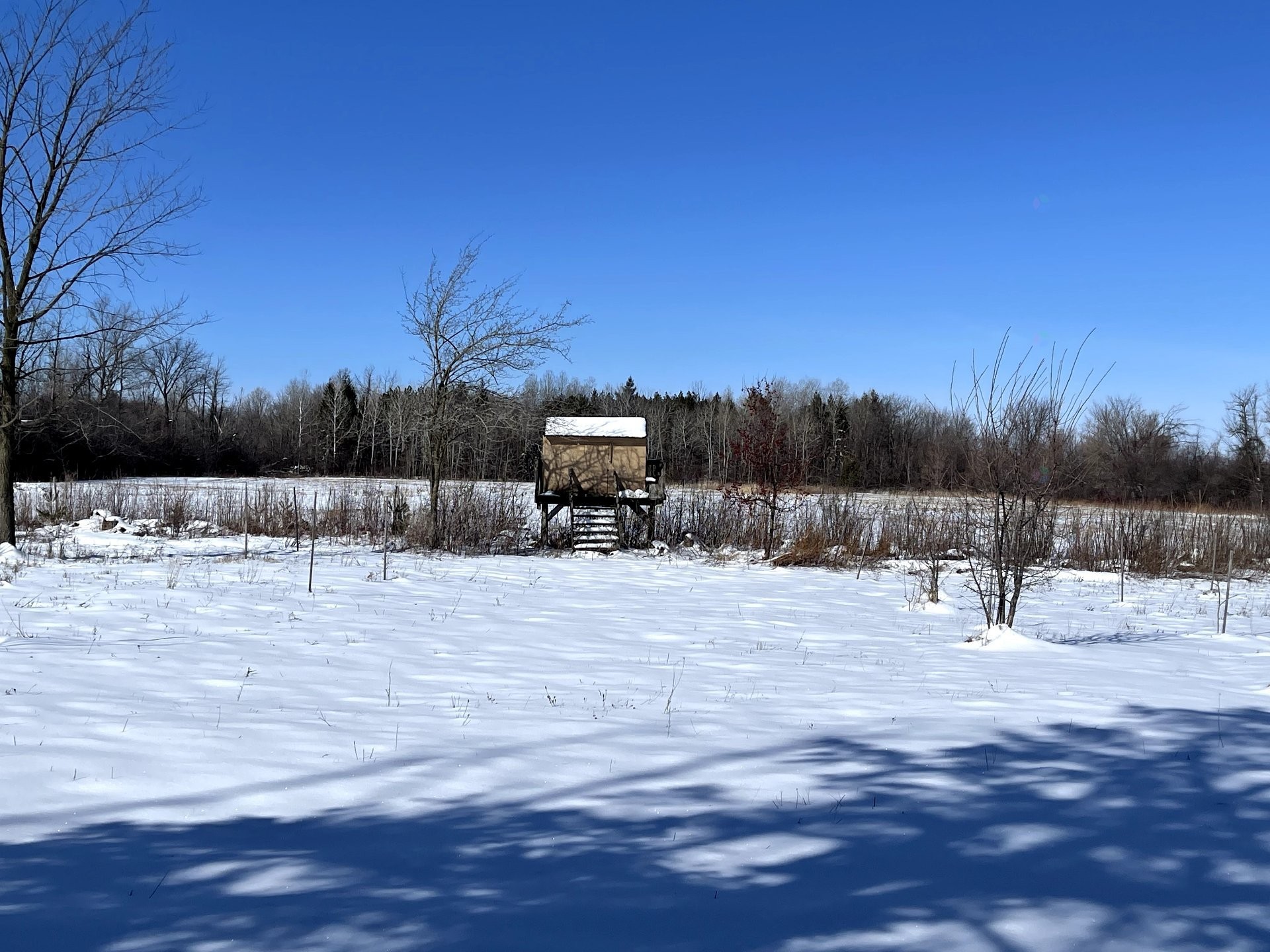 









203Z


Route 221 S.

,
Lacolle,







QC
J0J1J0

