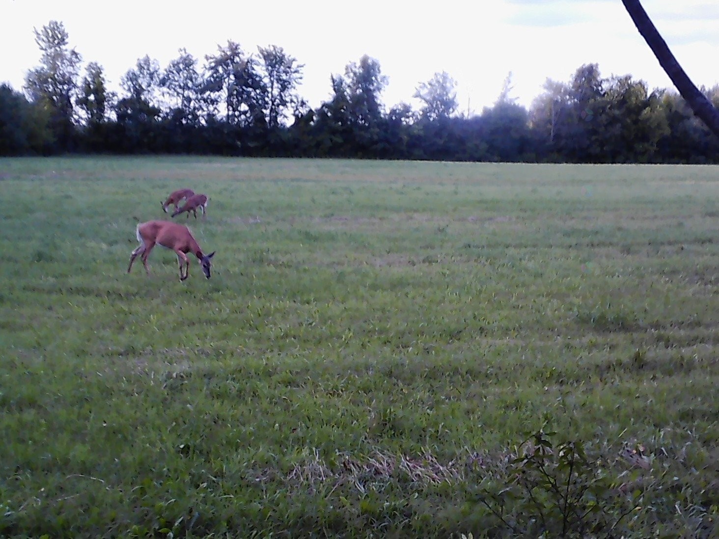 









203Z


Route 221 S.

,
Lacolle,







QC
J0J1J0

