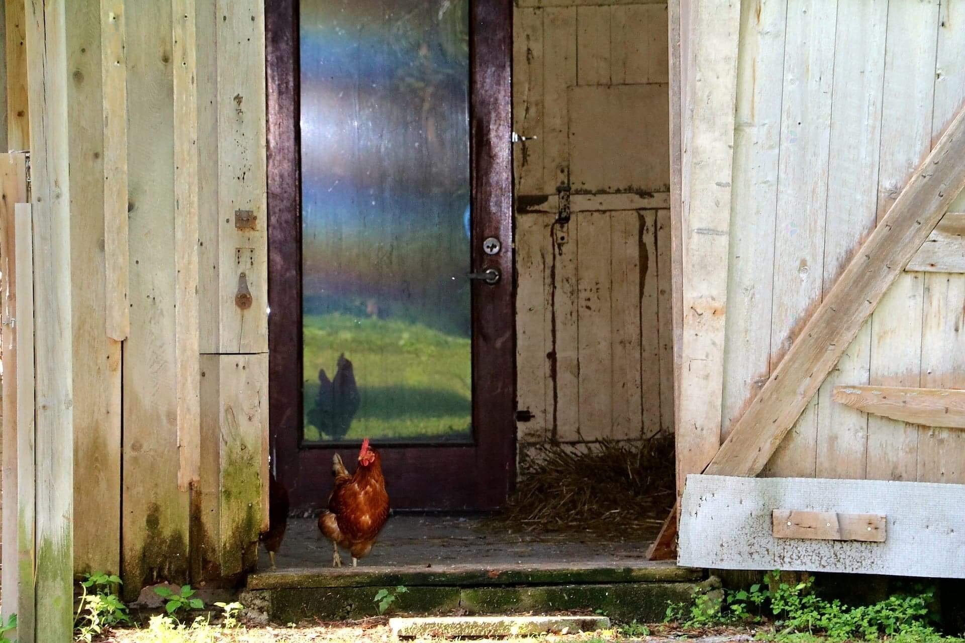 









203Z


Route 221 S.

,
Lacolle,







QC
J0J1J0

