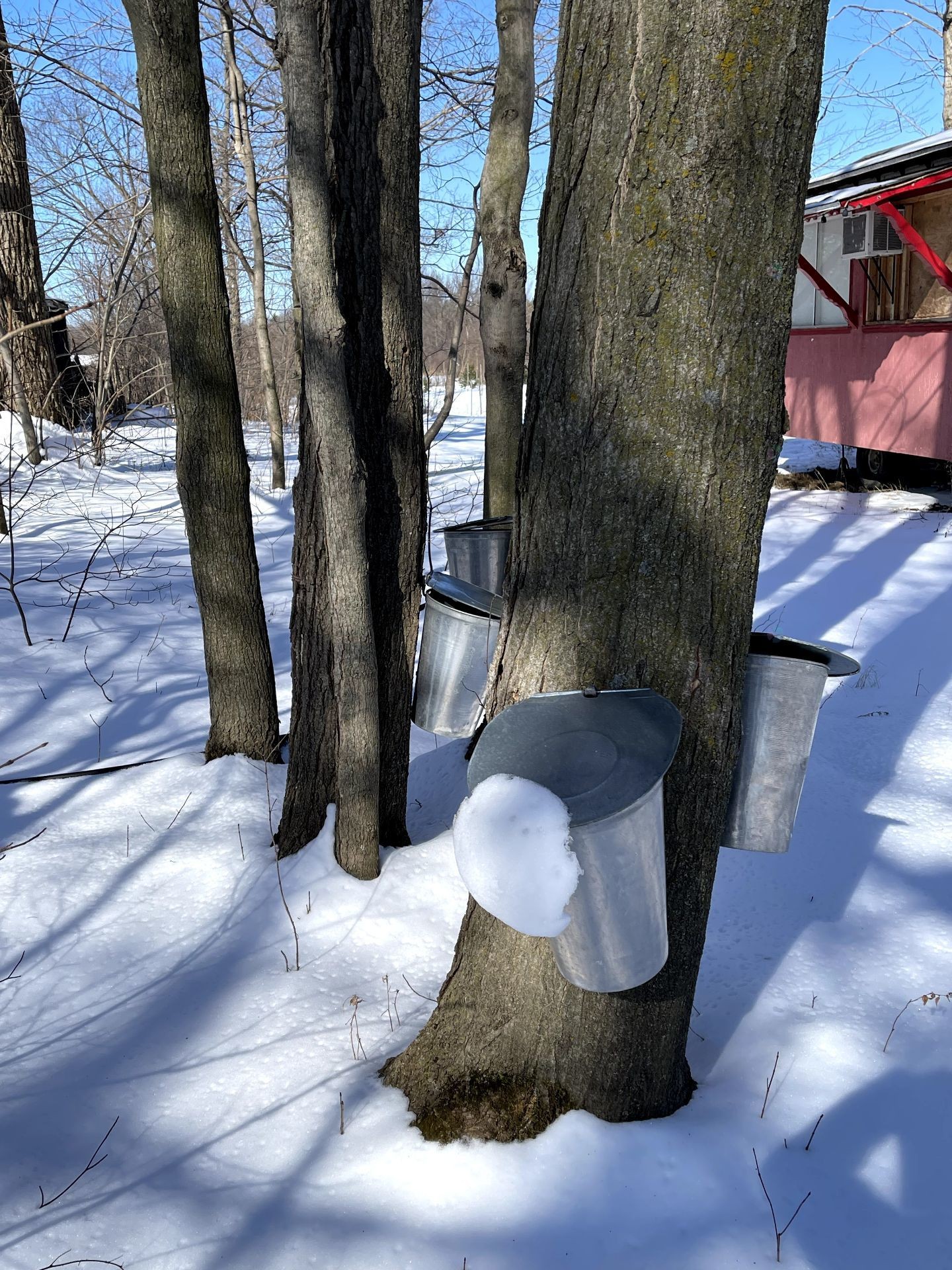 









203Z


Route 221 S.

,
Lacolle,







QC
J0J1J0

