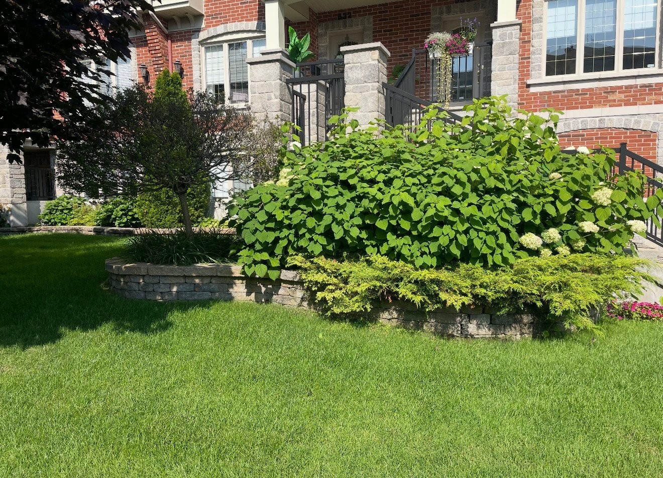 









530


Rue Jacques-Lavigne

,
Sainte-Thérèse,




QC
J7E5W5

