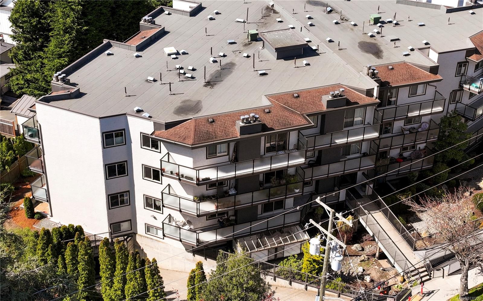 









1241


Fairfield

Rd, 402,
Victoria,




BC
V8V 3B3

