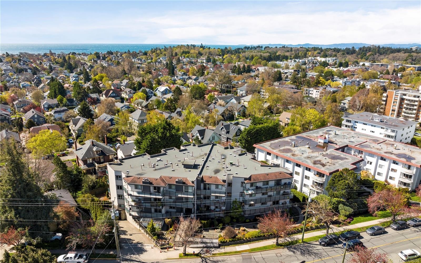 









1241


Fairfield

Rd, 402,
Victoria,




BC
V8V 3B3

